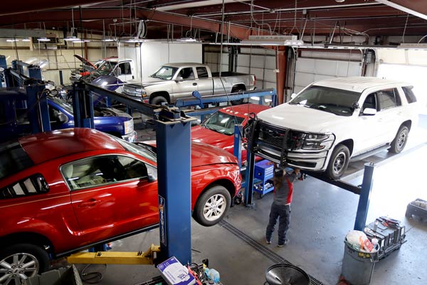 Lots of vehicles on lifts in a transmission shop in Springfield MO.